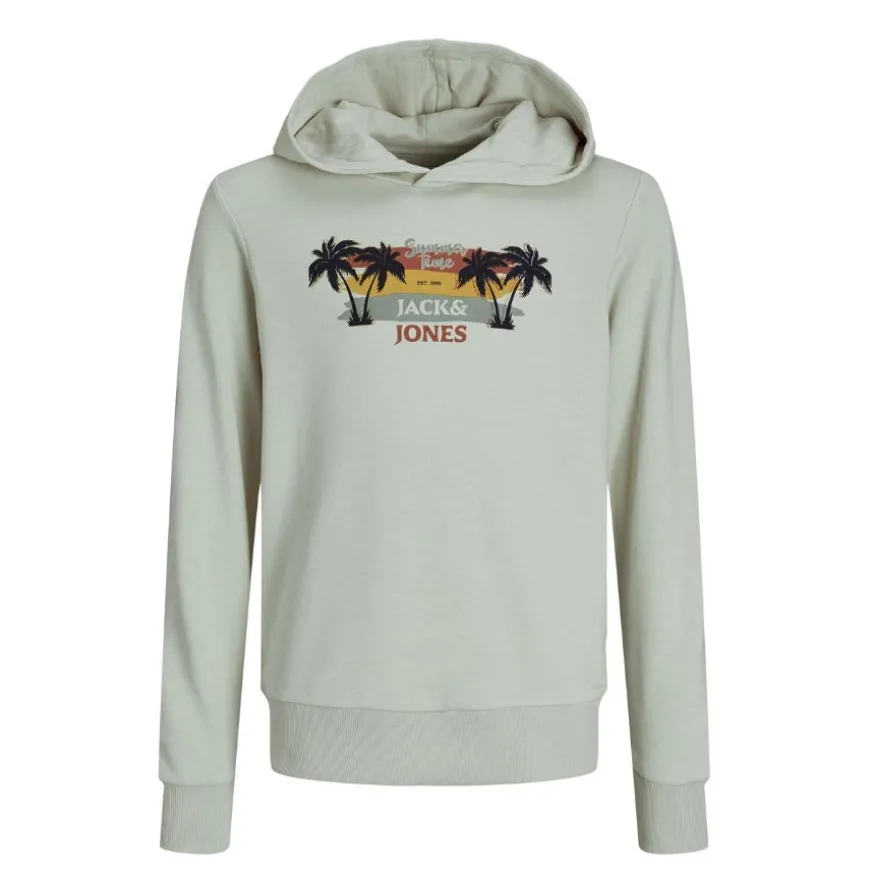 Sudaderas Jack & jones Jjsummer Vibe Sweat Hood Jnr