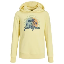 Sudaderas Jack & jones Jjsummer Vibe Sweat Hood Jnr