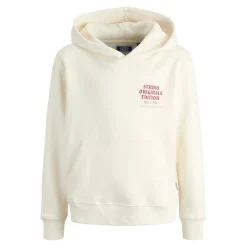 Sudaderas Jack & jones Jormeadows Sweat Hood Jnr