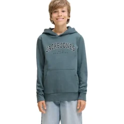 Sudaderas Jack & jones N.U. Jjecaleb Varsity Sweat Hood Noos Jnr