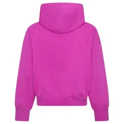 Sudaderas Jordan Jdg Brooklyn Ess Po
