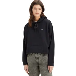 Sudaderas Levis Everyday Hoodie