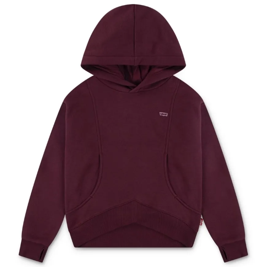 Sudaderas Levis kids Lvg Batwing Patch Hoodie