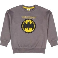 Sudaderas Losan Sweat Fleece