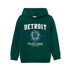 Sudaderas Name-it Nkmlevi Ls Swe W Hood Bru Pb