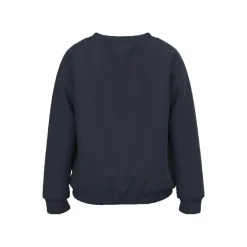 Sudaderas Name-it Nmfrodja Ls Swe Bru Pb