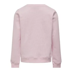 Sudaderas Only kids Kogcarol L S Sateen O-Neck Swt