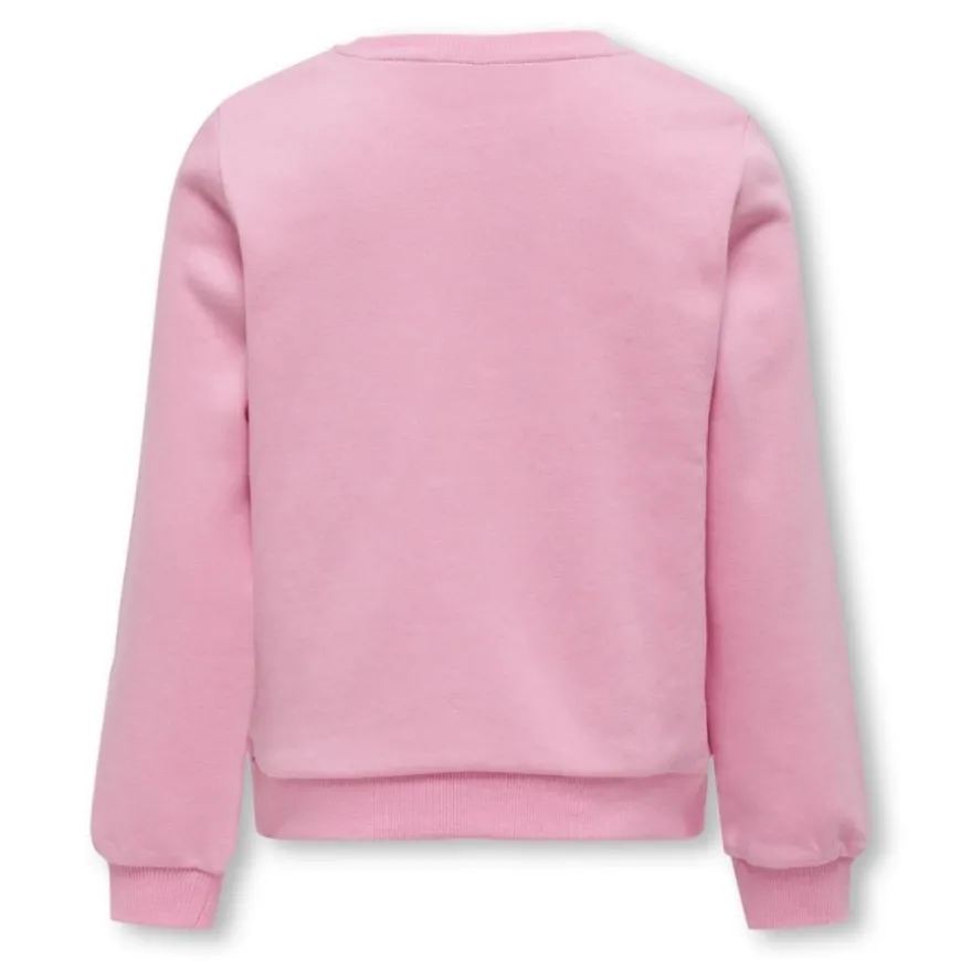 Sudaderas Only kids Koglotta Reg L S College Box Swt