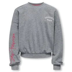 Sudaderas Only kids Kogsally Life L S Ovz O-Neck Ub Swt