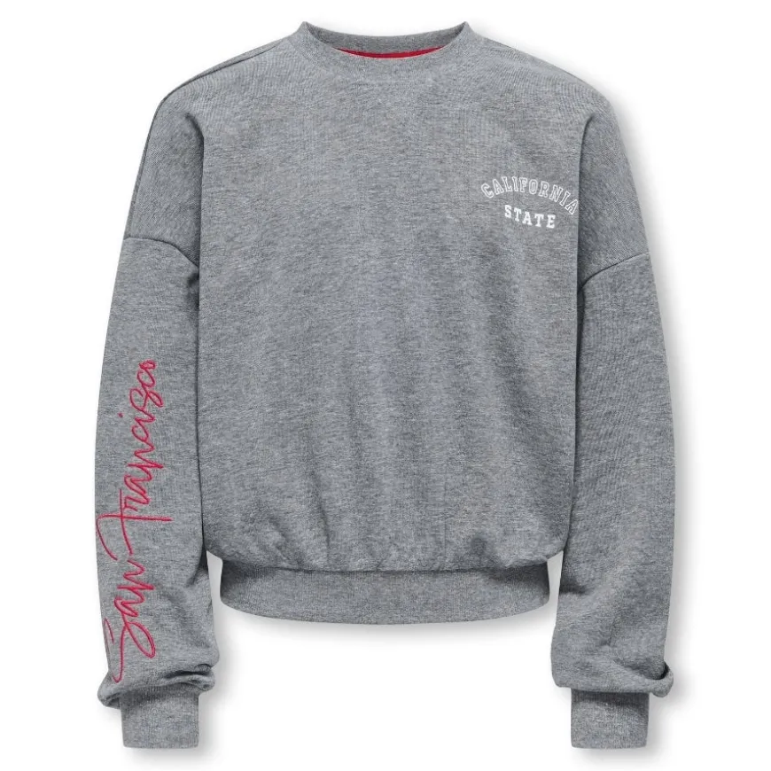 Sudaderas Only kids Kogsally Life L S Ovz O-Neck Ub Swt