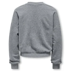 Sudaderas Only kids Kogsally Life L S Ovz O-Neck Ub Swt