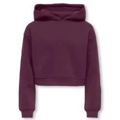 Sudaderas Only kids Kogsweat Life L S Hoodie Short Swt
