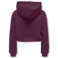 Sudaderas Only kids Kogsweat Life L S Hoodie Short Swt