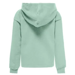 Sudaderas Only kids N.U. Kogwendy Glitter Ls Hood Ub Swt Noos