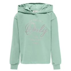 Sudaderas Only kids N.U. Kogwendy Glitter Ls Hood Ub Swt Noos