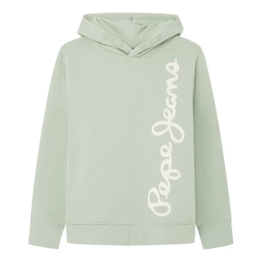 Sudaderas Pepe jeans IMA Waldo Hoodie