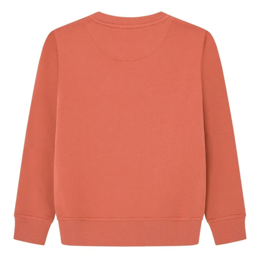 Sudaderas Pepe jeans New Lamonty Crew