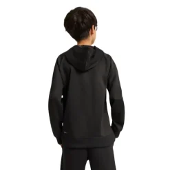 Sudaderas Puma ACTIVE SPORTS Graphic Poly Hoodie B