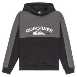 Sudaderas Quiksilver Knowledge Area Hood Youth