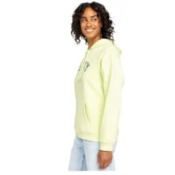 Sudaderas Roxy SMU Surf Stoked Hoodie Brushed E