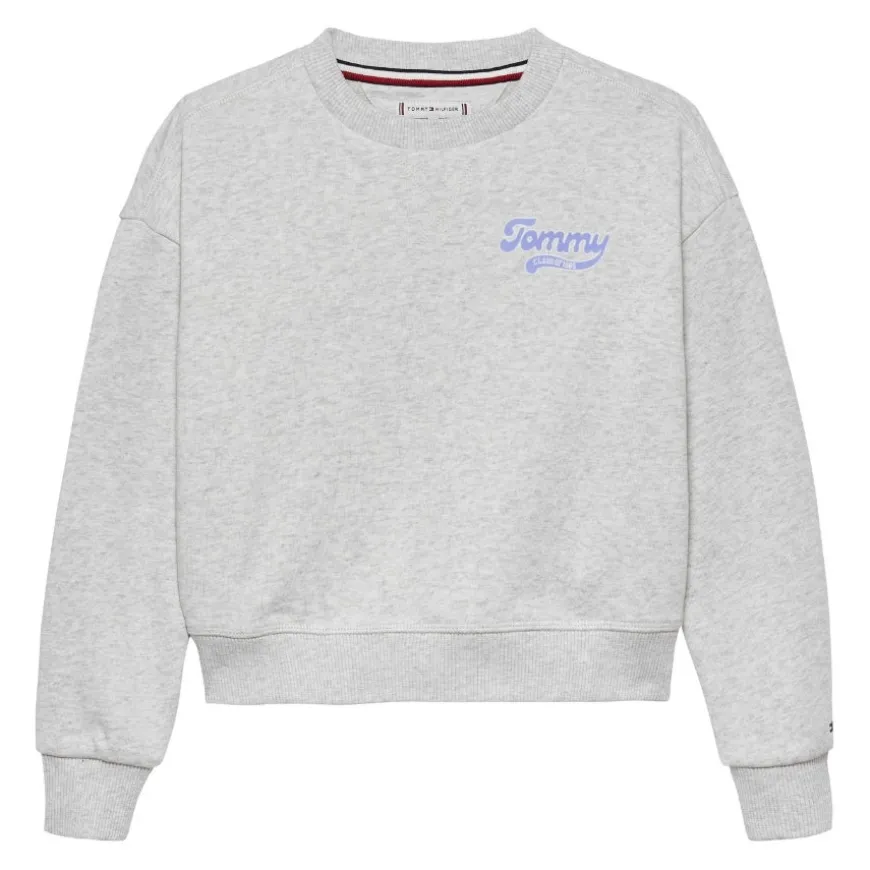 Sudaderas Tommy hilfiger Tommy Flock Sweatshirt