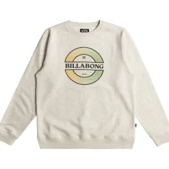 Sudaderas Billabong PromoFleece Riptide Cr