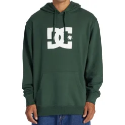 Sudaderas Dc shoes DC STAR OTLR GSS0