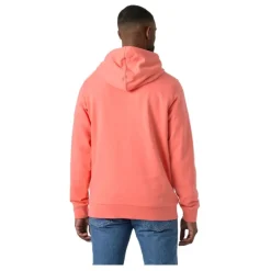Sudaderas Helly hansen Hh Box Hoodie