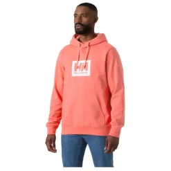 Sudaderas Helly hansen Hh Box Hoodie