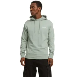 Sudaderas Jack & jones Jjbeau Sweat Hood Ln