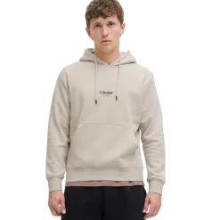 Sudaderas Jack & jones Jjesoho Sweat Hood Noos
