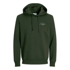 Sudaderas Jack & jones Jjferris Sweat Hood