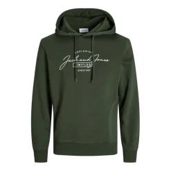 Sudaderas Jack & jones Jjferris Sweat Hood