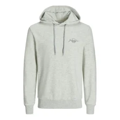 Sudaderas Jack & jones Jjferris Sweat Hood