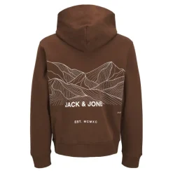 Sudaderas Jack & jones Jjmount Sweat Hood Ski Aw25