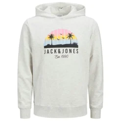 Sudaderas Jack & jones Jjpalm Sweat Hood