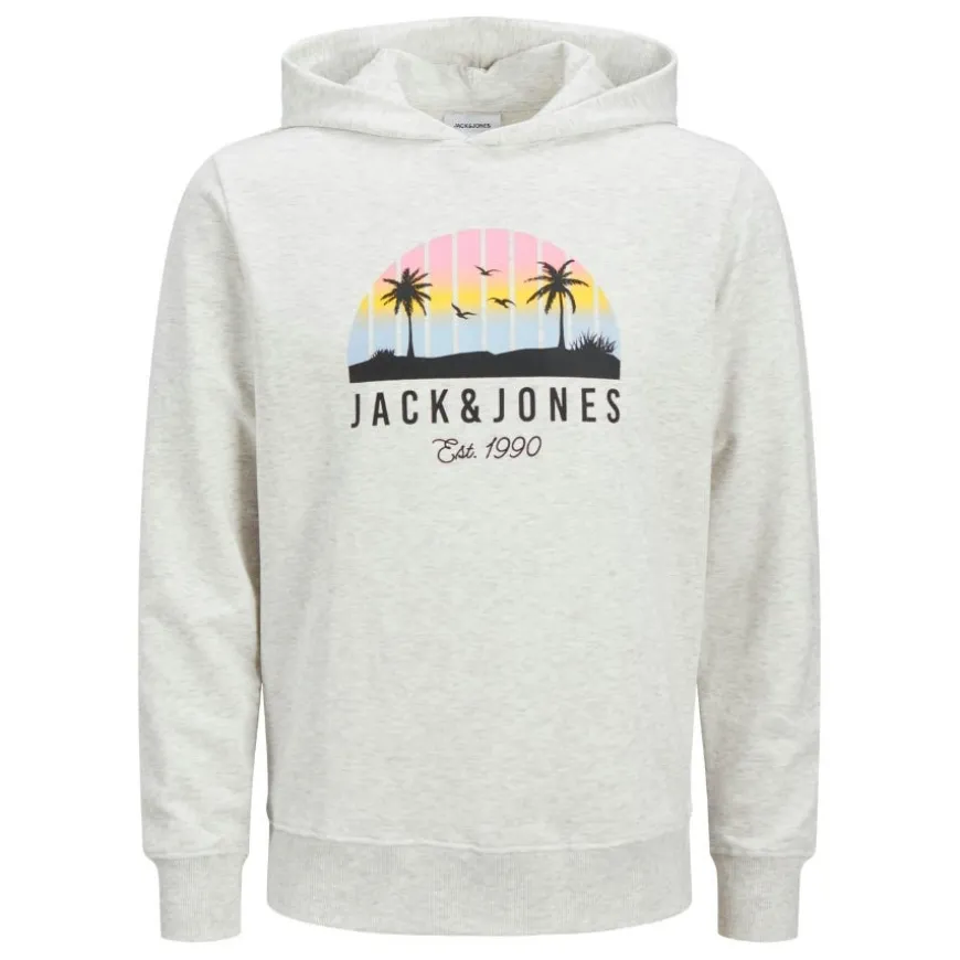 Sudaderas Jack & jones Jjpalm Sweat Hood