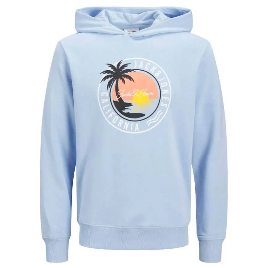 Sudaderas Jack & jones Jjpalm Sweat Hood
