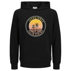 Sudaderas Jack & jones Jjpalm Sweat Hood