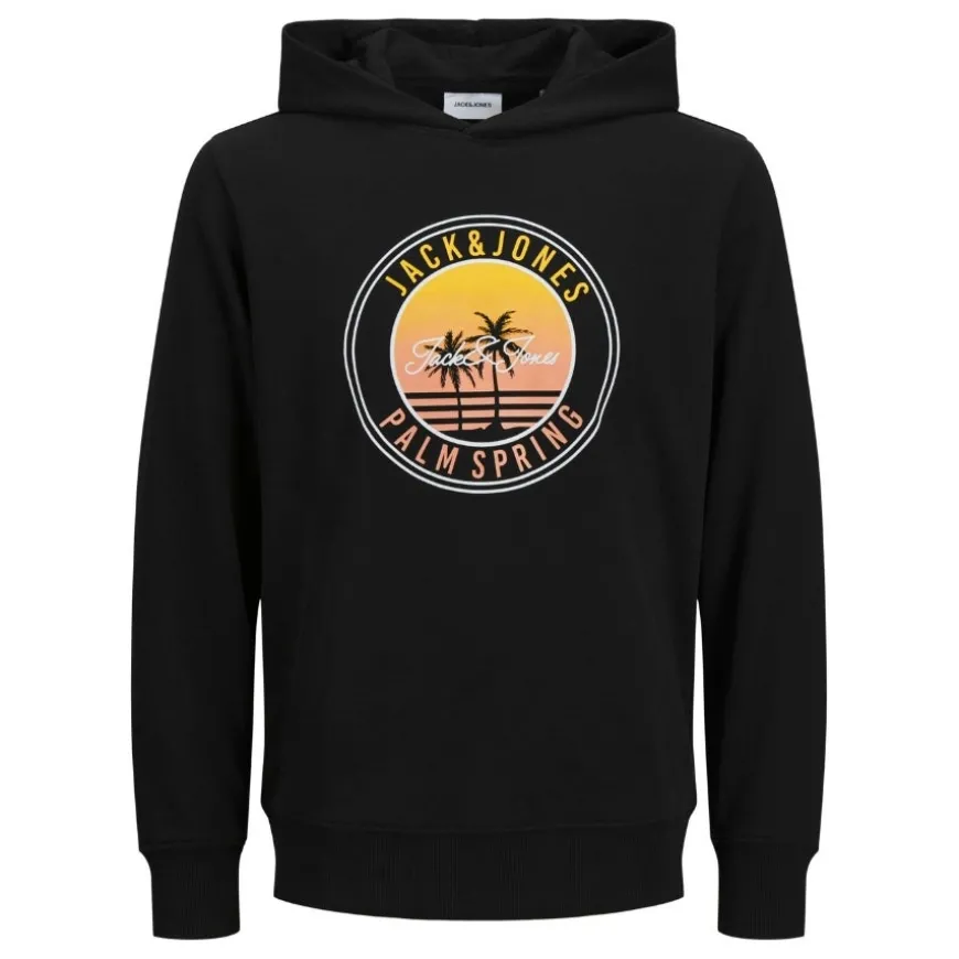 Sudaderas Jack & jones Jjpalm Sweat Hood