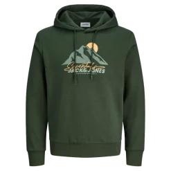Sudaderas Jack & jones Jjsun Sweat Hood