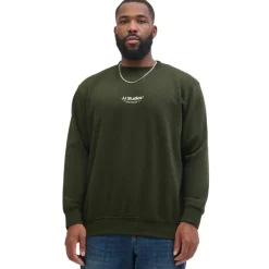 Sudaderas Jack & jones plus Jjesoho Sweat Crew Neck Noos Pls