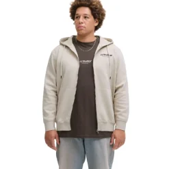 Sudaderas Jack & jones plus Jjesoho Sweat Zip Hood Noos Pls