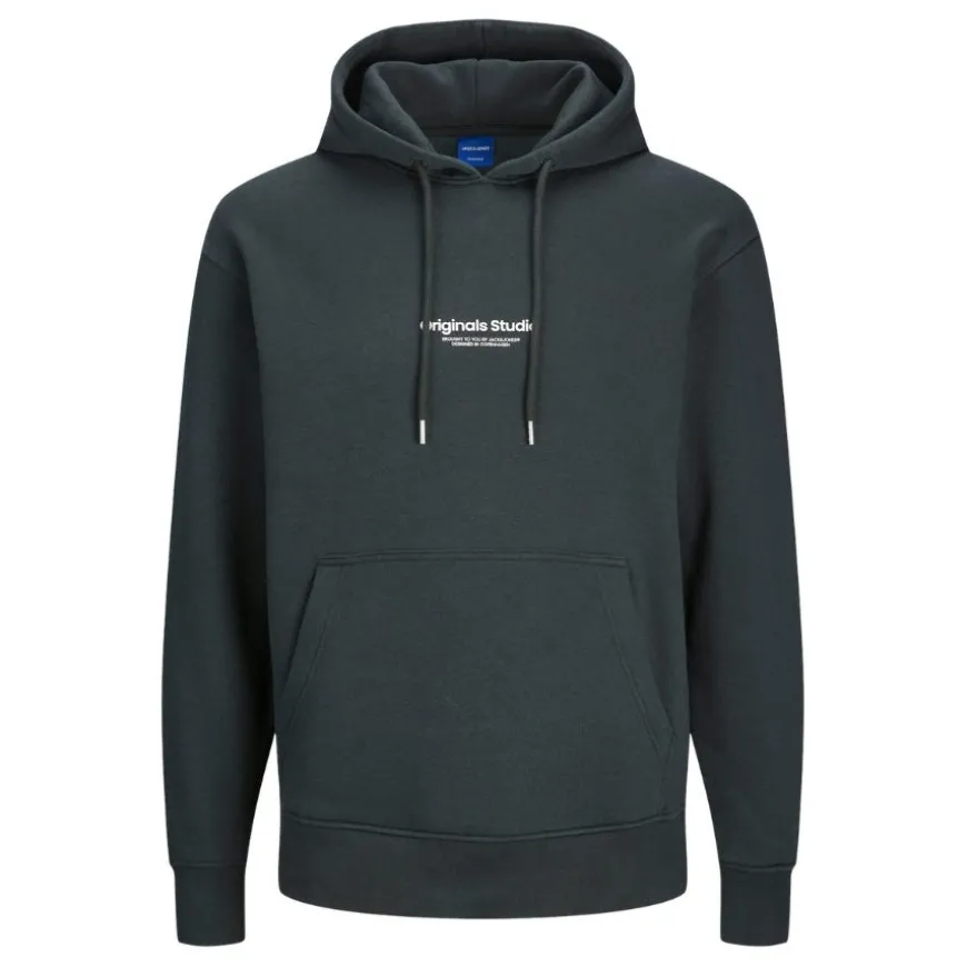 Sudaderas Jack & jones plus Jorvesterbro Sweat Hood Noos Pls