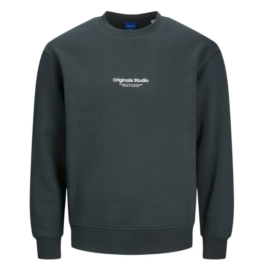 Sudaderas Jack & jones plus Jorvesterbro Sweat Crew Neck Pls