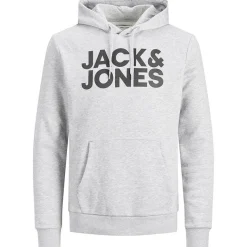 Sudaderas Jack & jones PromoFleece Jjecorp Logo Sweat Hood Noos