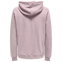 Sudaderas Only & sons Onsdavid Reg Hoodie Sweat