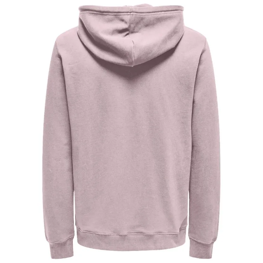 Sudaderas Only & sons Onsdavid Reg Hoodie Sweat