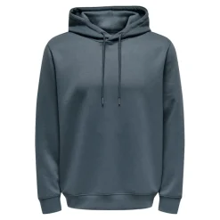 Sudaderas Only & sons Onsluca Reg Ls Hoodie Sweat