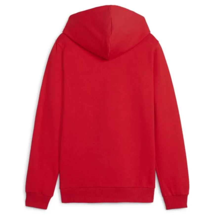 Sudaderas Puma Hoodie Teamgoal